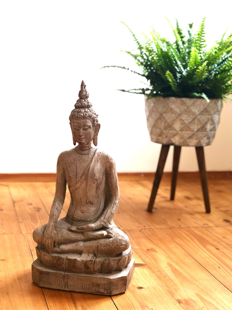 Buddha aus Holz mit Pflanze im Soulmove Yoga Studio in Ulm